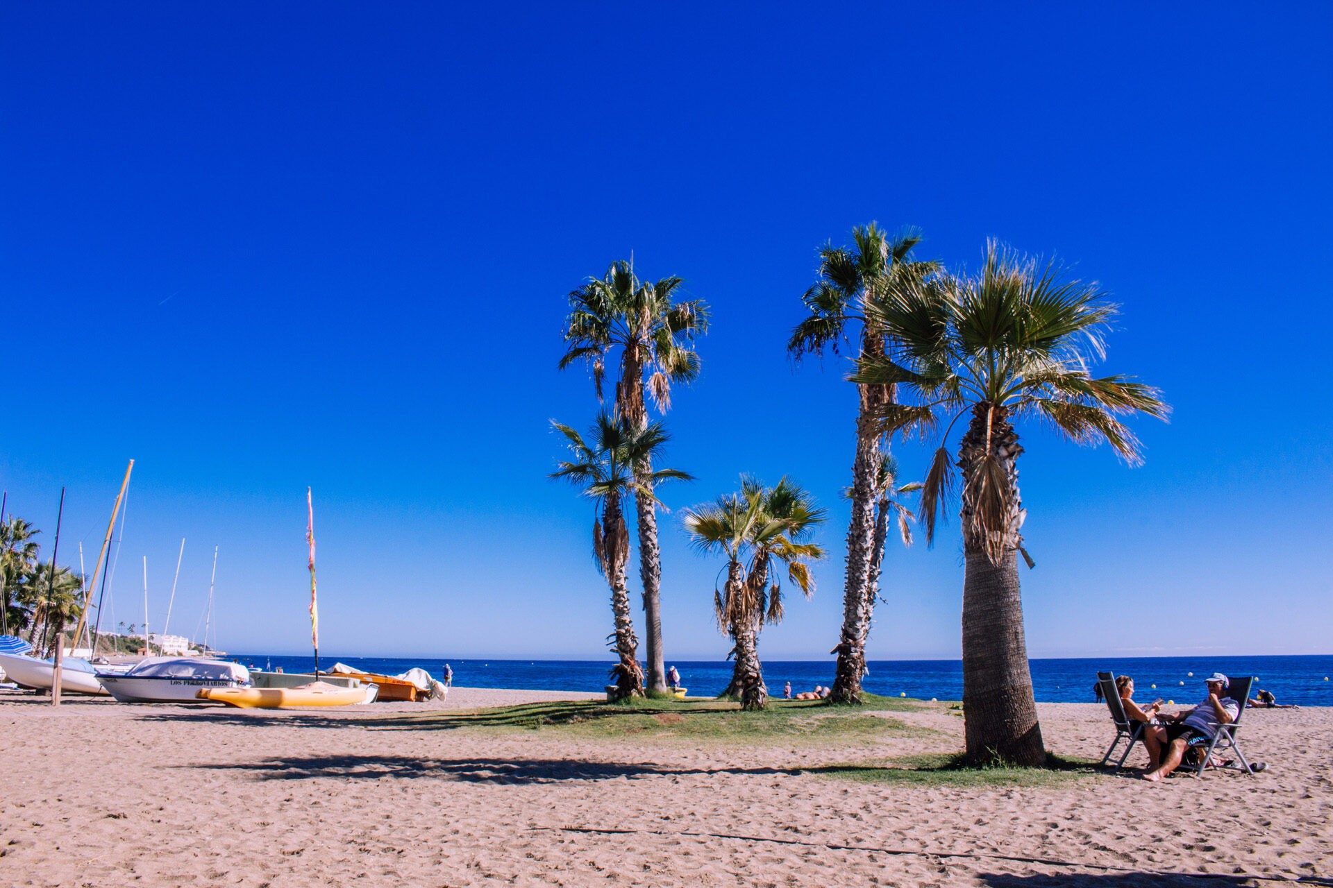 Palm trees on a beach on the Costa del Sol