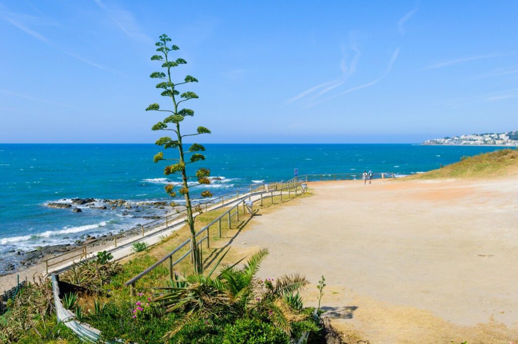 Malaga Rents Triple on New Contracts as Housing Pressure Intensifies