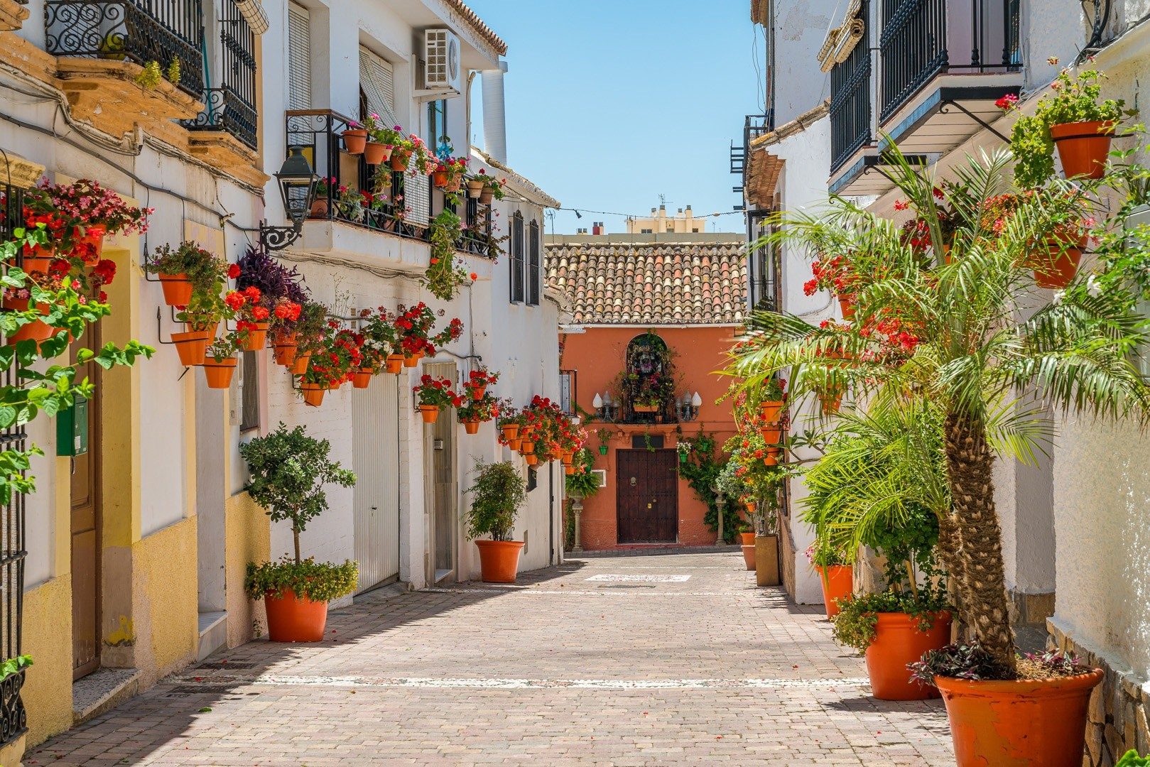 Flowerpots on white walls in an Estepona street