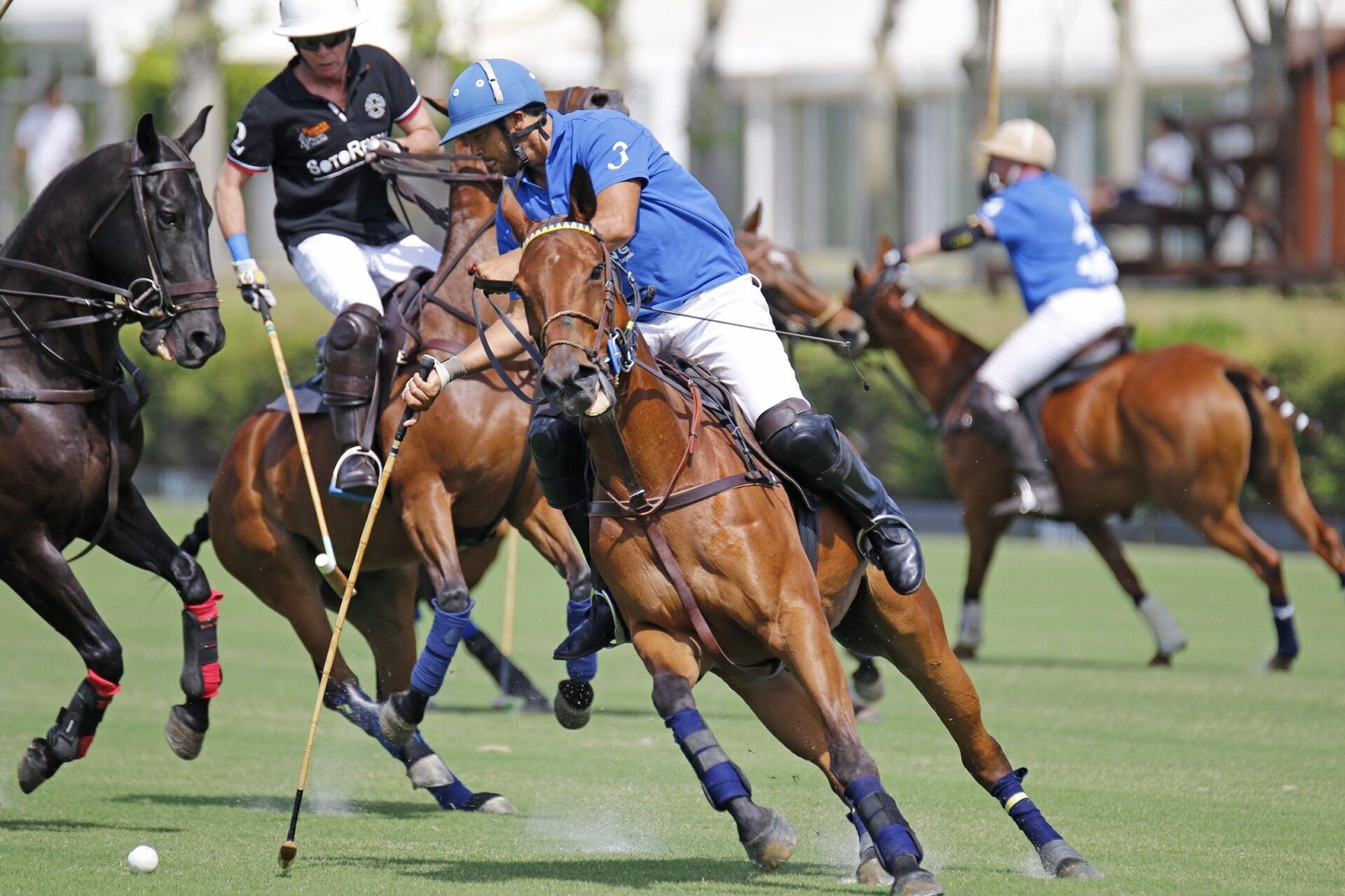 Polo at Santa María Polo Club, Sotogrande